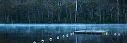 Lake Beedelup Photo Art by Paul Theseira